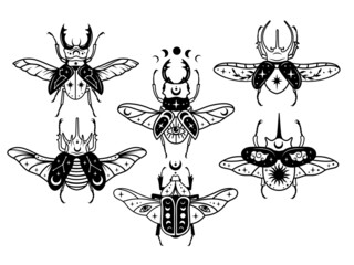 Set of stylized magic beetle. Collection of flying mythical insects scarab, stag beetle, etc. Celestial beetle with skull death. Vector illustration of flying beetles with mystic sign. Linear art.