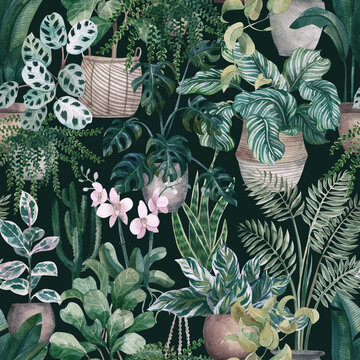 Home plants in pots. Seamless floral pattern with tropical plants