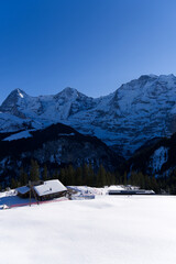 Fototapeta premium Beautiful mountain panorama at the Swiss Alps seen from mountain railway station Winteregg Mürren on a sunny winter day. Photo taken January 15th, 2022, Lauterbrunnen, Switzerland.
