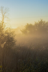 Blurred image of a meadow in the fog at sunrise.