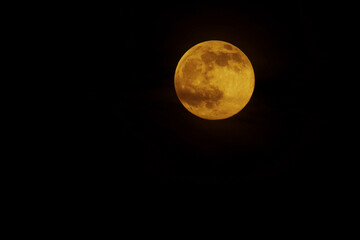 Obraz premium Full moon in the night sky, Colourful orange Wolf Moon with back ground space, isolated 2022