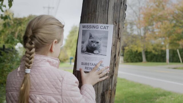 A girl attaches an announcement about a missing cat to a pole