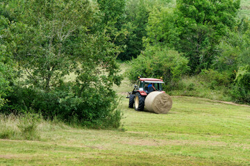 Tractor carrying hay bale on rear forks
