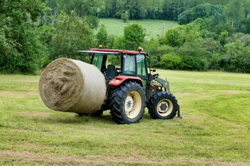 Tractor carrying hay bale on rear forks
