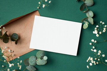 Invitation or greeting card mockup with envelope, eucalyptus and gypsophila flowers on paper background © nikavera