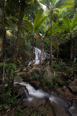 The famous natural waterfall in Maekampong village,Chiangmai province,Thailand.Yellow sign means caution waterfall ahead in thai language.Attractive place for traveller.