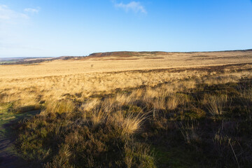Across tall brown heath grass to a distant White Edge on a windy winter morning in the Derbyshire Peak District