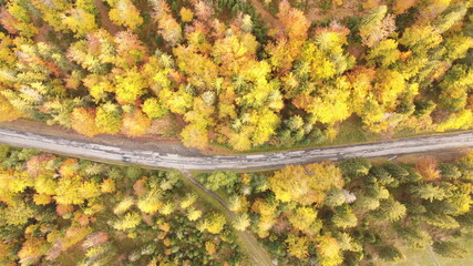autumn mountain road