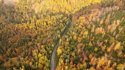 autumn mountain road