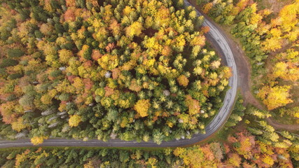 autumn mountain road