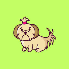 vector illustration dog bolognese cute