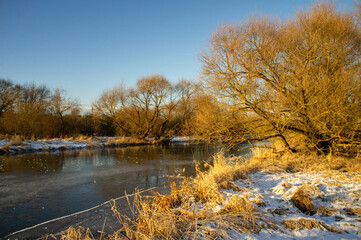 Fototapeta na wymiar Winter landscape of the river bank with trees