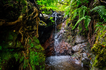 Santo António da Serra
