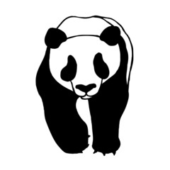 Panda bear walking,isolated on a white background.Vector illustration.Black and white manual drawing.