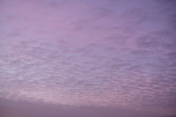 Wolken, Himmel im Abendrot bei Sonnenuntergang. Kleine Schäfchenwolken, Cirrocumulus als Hintergrund