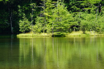 Fototapeta premium 湖水