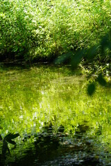 Obraz premium 水景