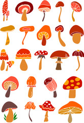 Set of colorful mushrums. Vector illustration