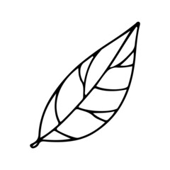 Для Интернета