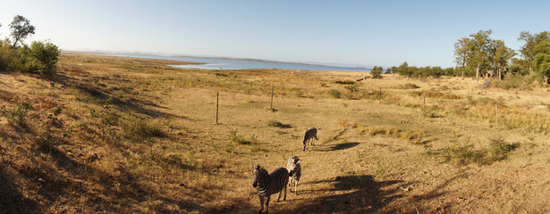 Safari camp near Binga at Lake Kariba between Zambia and Zimbabwe.