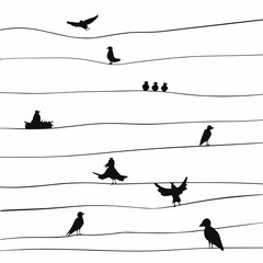 Silhouette of birds on the wires for decoration.
