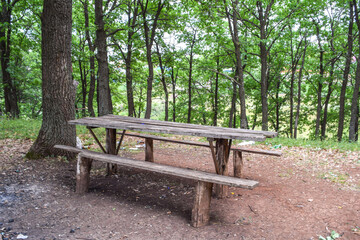 In the forest on a summer day there is a wooden table and two benches among the garbage