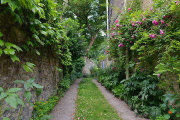 View of a narrow lane in the countryside