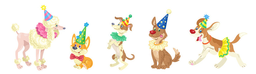 Set of five funny circus dogs in colorful costumes. In cartoon style. Isolated on white background. Vector flat illustration.