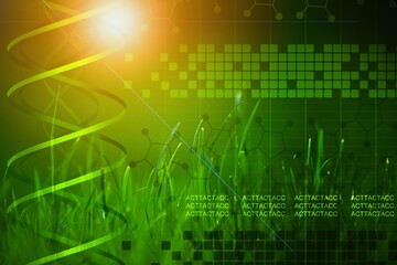 Science of green plant research, Chromosome DNA and genetic, record data in the fields.