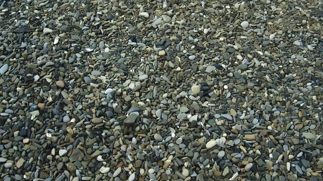 Small pebbles of different colors and shapes on the shore. The camera moves forward slowly and the stone floor does not end. It's very peaceful