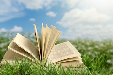 Open book on green grass in a field, concept for reading, relaxing and recreation