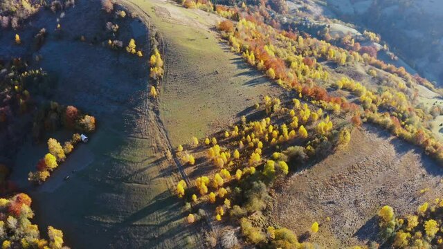 High mountain peaks with yellowed forest under bright sun