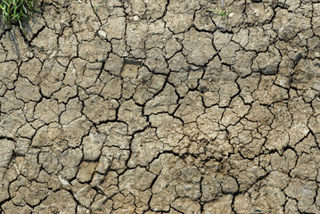 Cracked and dry earth due to lack of rains