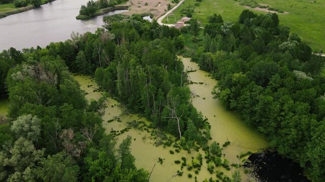 drone view of the swampy area. 4k footage aerial