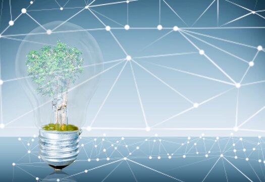 Plant Growing On Lightbulb With Digital Convergence And Network Technology Background.