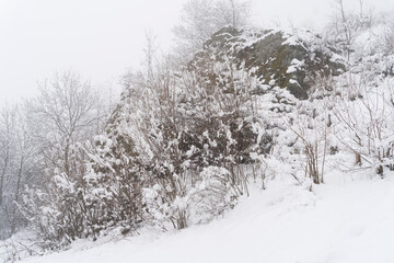 Winter landscape in the mountains. Mountain rock and trees in the fog. High quality photo