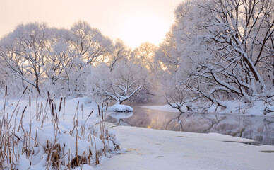 Winter frosty landscape with snow covered trees