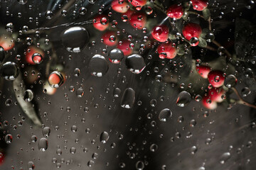 Beautiful aesthetic Hypericum red flowers background with water drops under glass surface. Red berries buoquet under glass with drops.