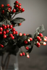 Hypericum red. Mono bouquet of flowers with red berries in a vase. Red bouquet on a grey background. Macro photo of Hypericum berries. Beautiful winter bouquet of red flowers.