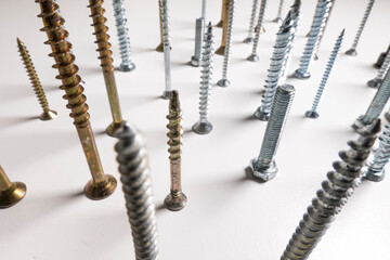 A variety of screws standing on their heads.