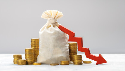 Money bag with coins and a red down arrow. Money loss concept © adragan