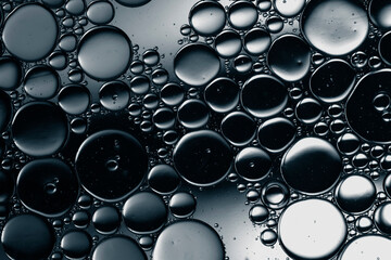 water drops on transparent dark background