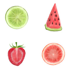 Watercolor Hand Painted Vector collection of fruits. Juicy and colorful fruit on white background including watermelon strawberry lime grapefruit.
