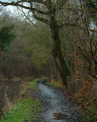 Towpath in the woods in the English countryside