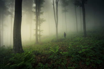 man in foggy woods in the morning