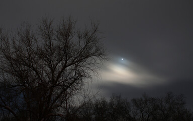 Obraz premium The moon in the distance