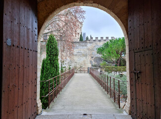 Fototapeta na wymiar View of the Avignon bridge, South of France