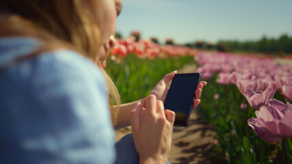 Back view of young woman touching smartphone screen with fingers in flower field