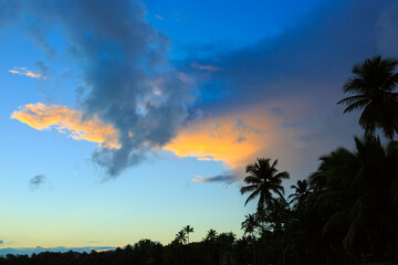 Clouds sky with coconut palm trees. Travel background.