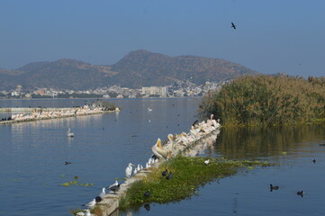 lake in the mountains